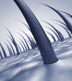 머리카락 굵어지는 방법 3가지 머리숱 많아지는법