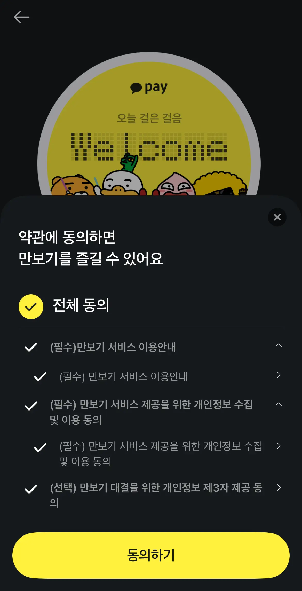 카카오페이-앱-만보기-동의