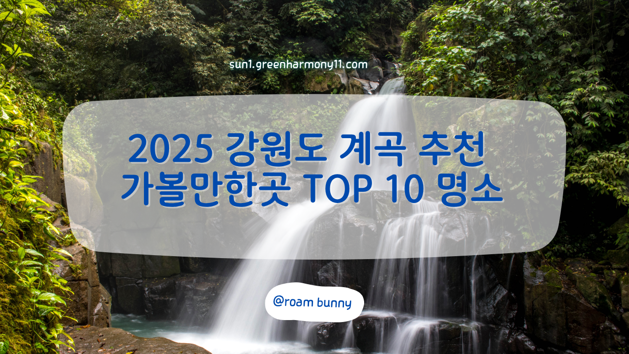 2025 강원도 계곡 추천