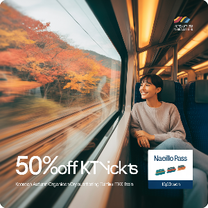 코레일 가을여행 관광열차 50%할인 + 내일로패스 1만원 할인 이미지