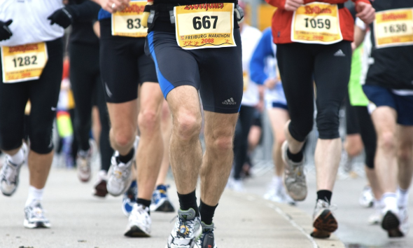 뛰어야 산다 출연진, 마라톤 예능 스타 16인의 리얼 도전기