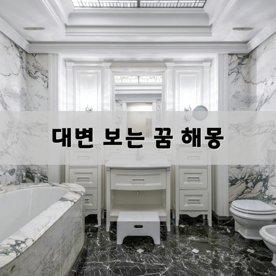 대변-보는-꿈-해몽-풀이의-의미와-해석