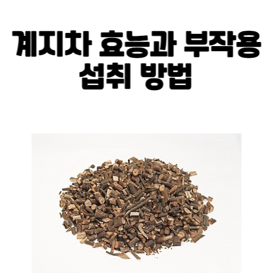 계지차 효능과 부작용 및 섭취 방법