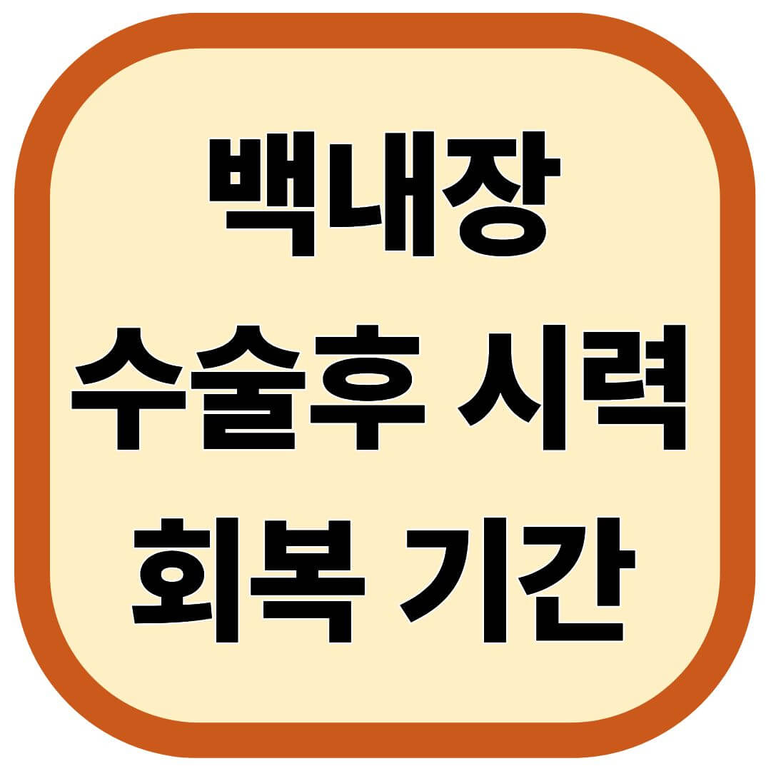 백내장 수술후 시력회복 기간