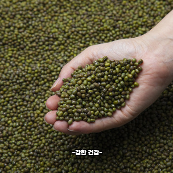 녹두 효능 명불허전