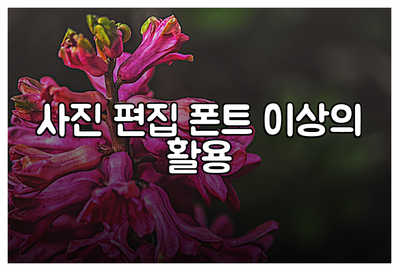사진 편집 폰트 이상의 활용