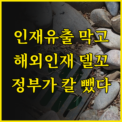 인재 유출 막고 해외 인재 델꼬 온다..
