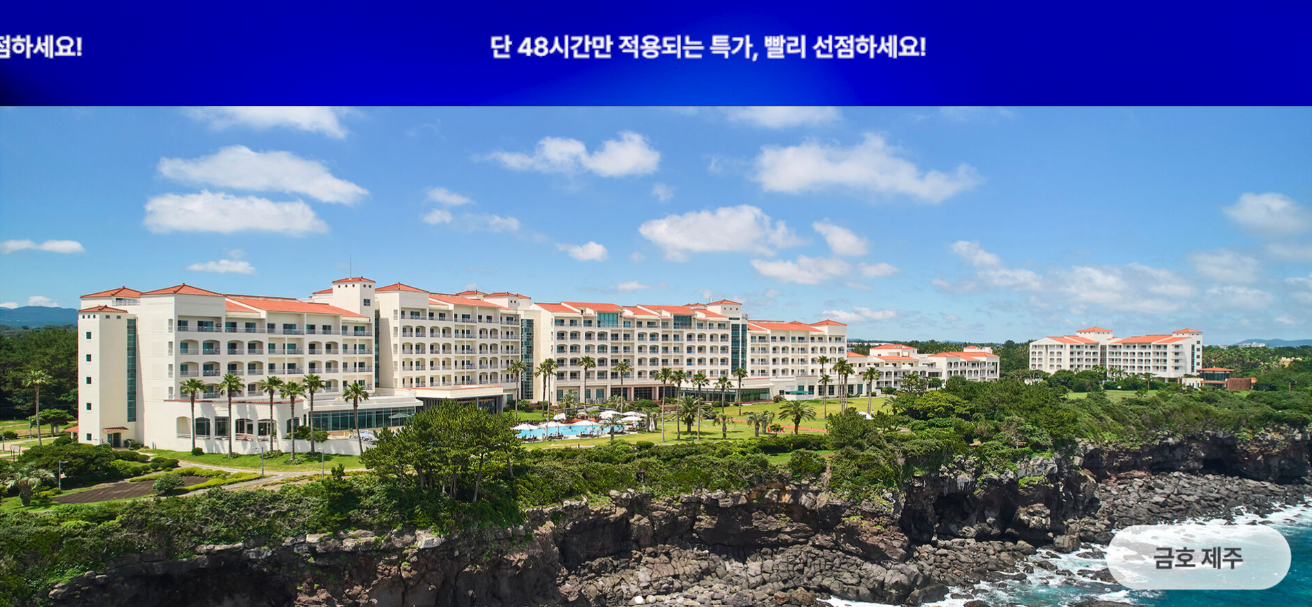 "금호리조트 기획전 특가 59% 할인! 전국 5개 리조트 2025 썸머페스타 완전정복 (아산/화순/제주/통영/설악)"