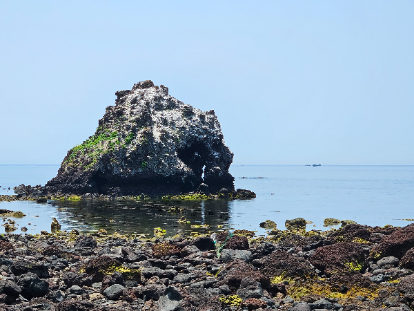 비양도 코끼리 바위