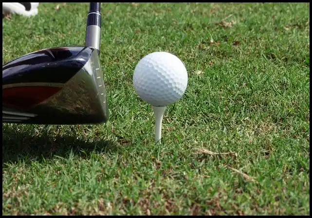 파크골프 용어 정리 (+ 해설 )