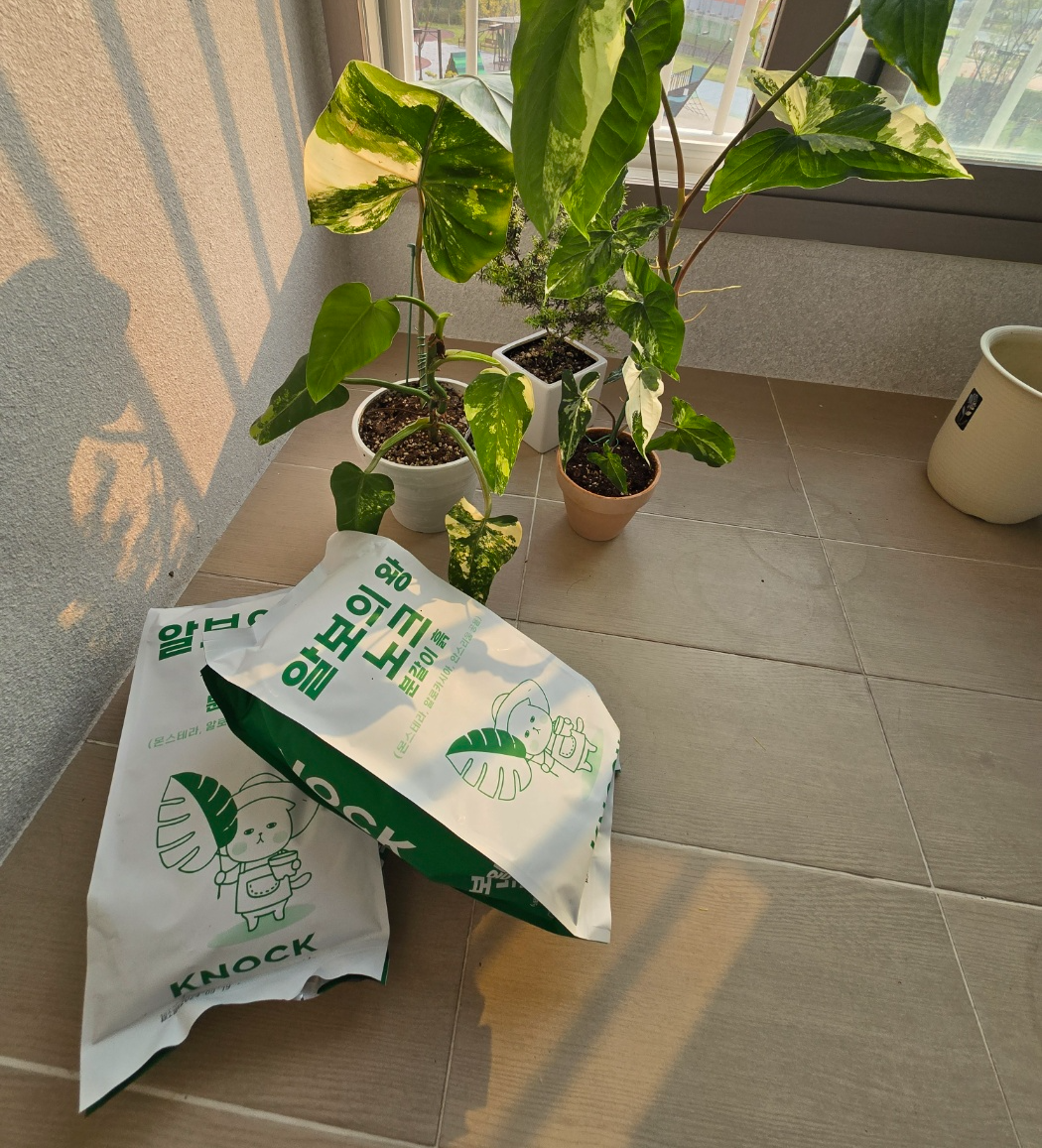 노크흙으로 분갈이하기