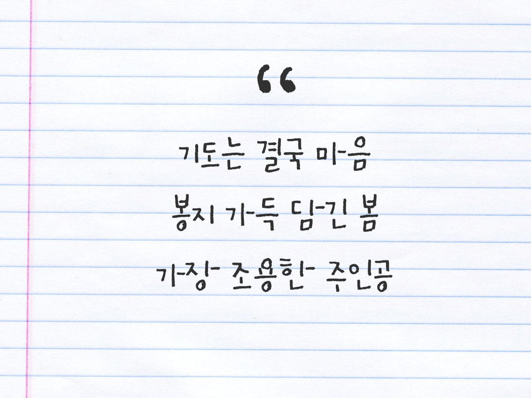 2026년 3월 14일 피어나네 감사노트|일상을 행복으로 바꾸는 기록 하루 3줄 감사일기