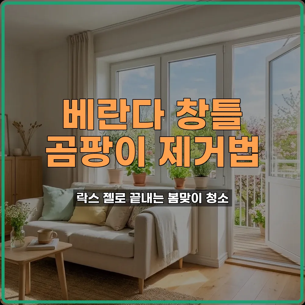창틀곰팡이