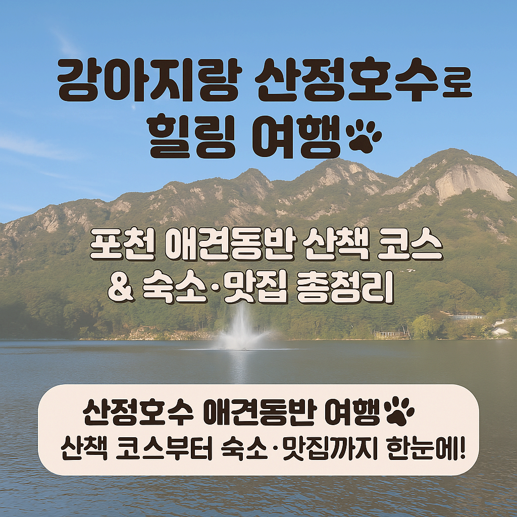 [반려동물 여행]강아지랑 산정호수로 힐링 여행❘ 포천 애견동반 산책 코스 &amp; 숙소·맛집 총정리