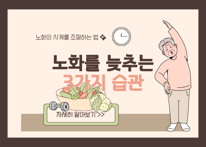 저속노화, 노화를 늦추는 3가지 습관