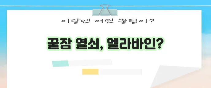 수면 개선에 좋은 멜라바인 효능과 식물성 멜라토닌 세로토닌 차이를 알아봅시다!