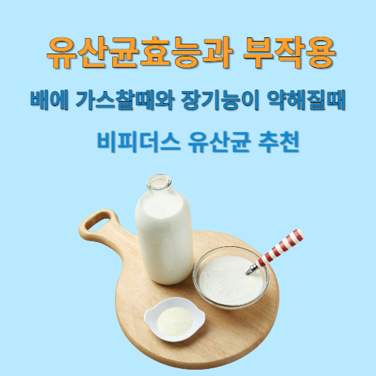 유산균 효능과 비피더스 유산균 추천
