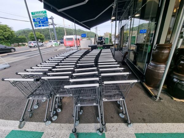 베지래빗804 카트