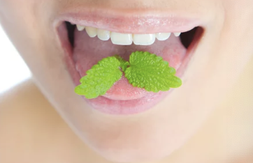 양치질&amp;주기적인 스케일링 