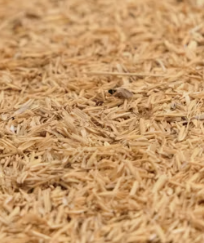 현미 효능과 부작용 영양성분 칼로리 다이어트