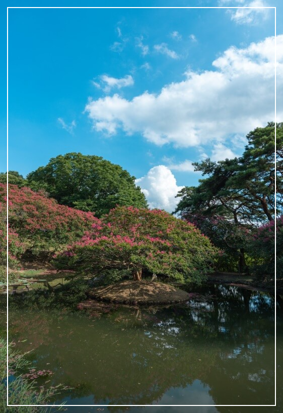 담양 가볼만한곳 베스트10 명옥헌 원림