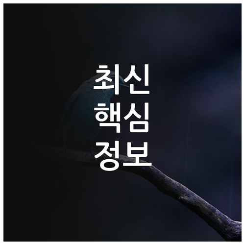 2025 영주시 출산 100만원 산후..