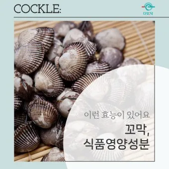 꼬막 무침 맛있게 삶는법_23