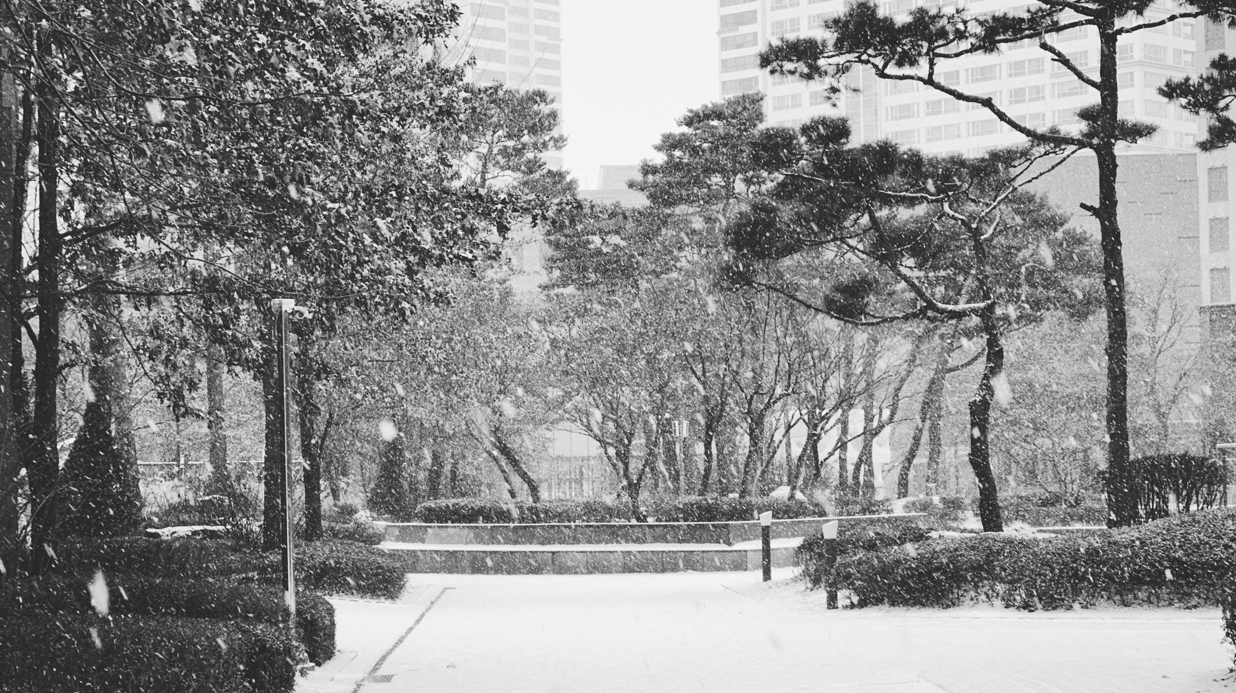 snow2