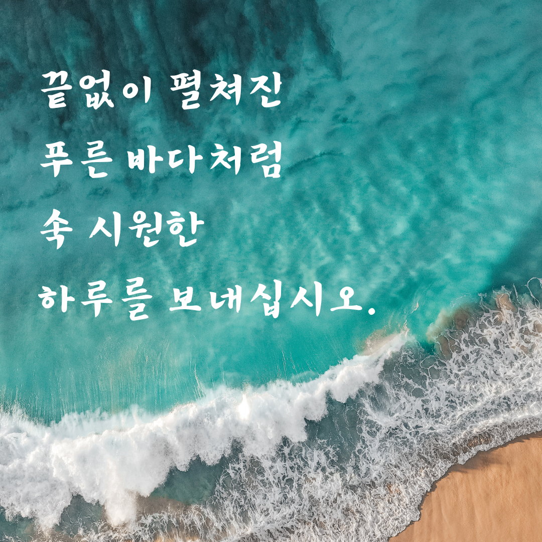 기분 좋은 아침 인사말 이미지 문구 모음집