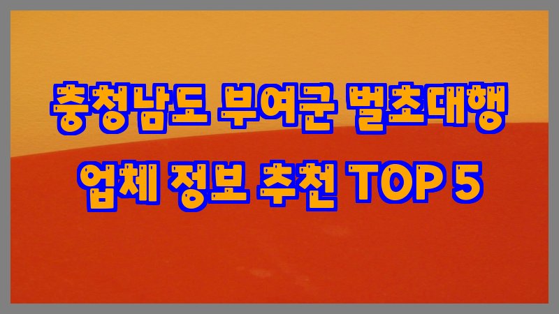 충청남도 부여군 벌초대행