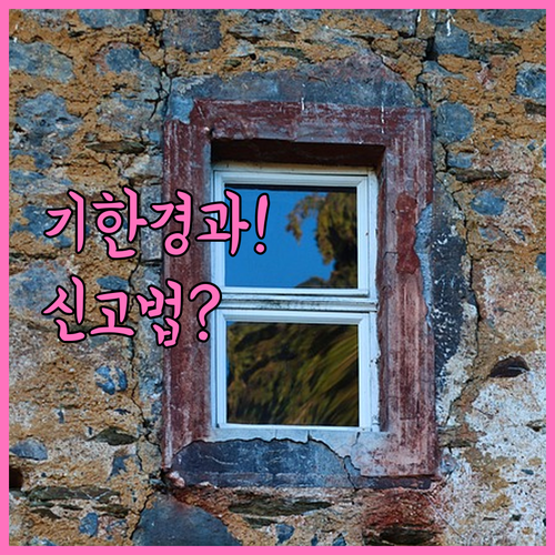 소비기한과 유통기한 경과 제품 신고 ..