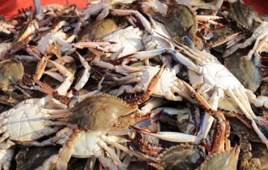 5월 제철음식 종류