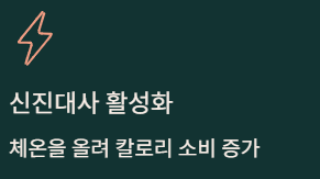  다이어트 차 3종 