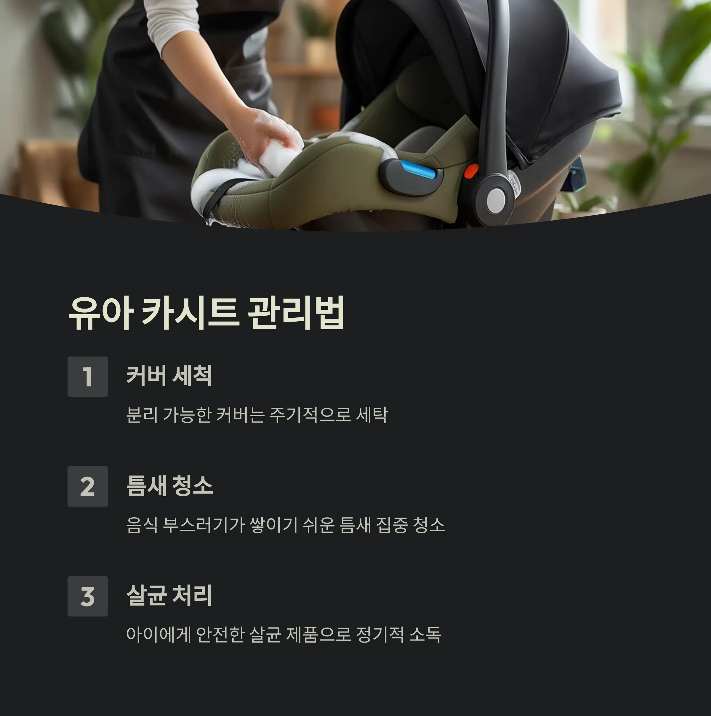 차량 진드기 제거 정보