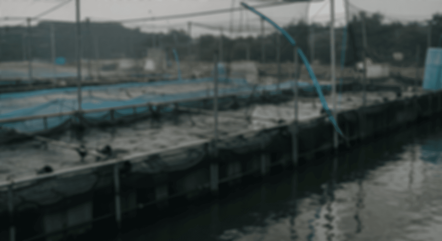 장어 1kg 인분 계산 끝! 가족 모임 장어 양 꿀팁 - 장어와 함께 즐기는 꿀조합!