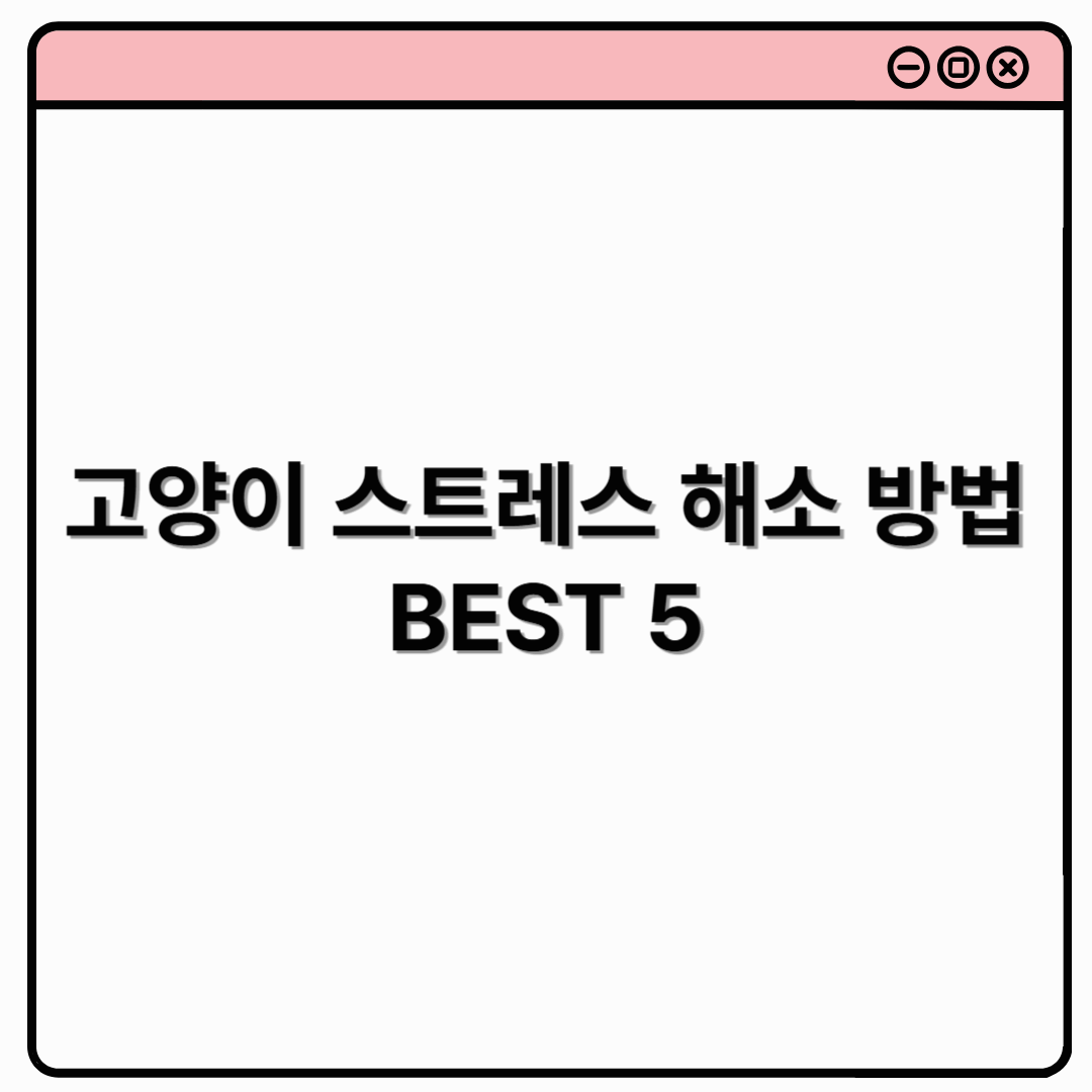 고양이 스트레스 해소 방법 BEST 5