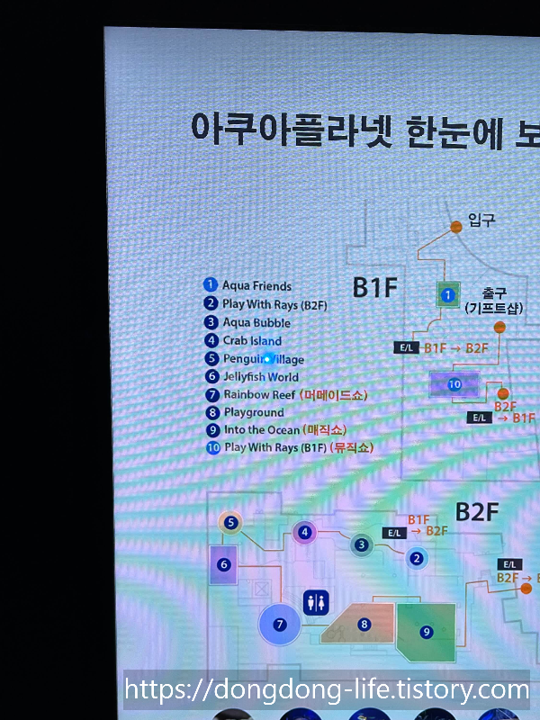 지도1 사진