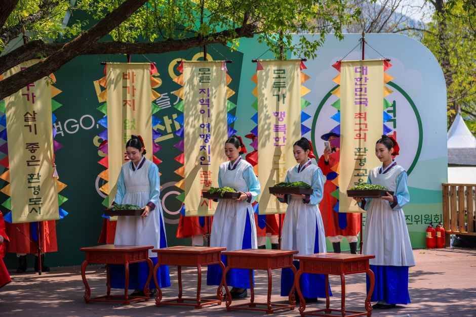 양평 용문산 산나물축제 2026 완벽 가이드
