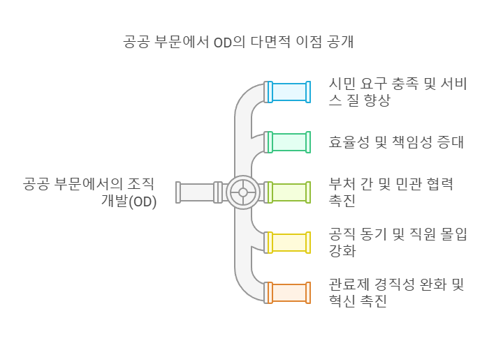 공공부문-조직개발