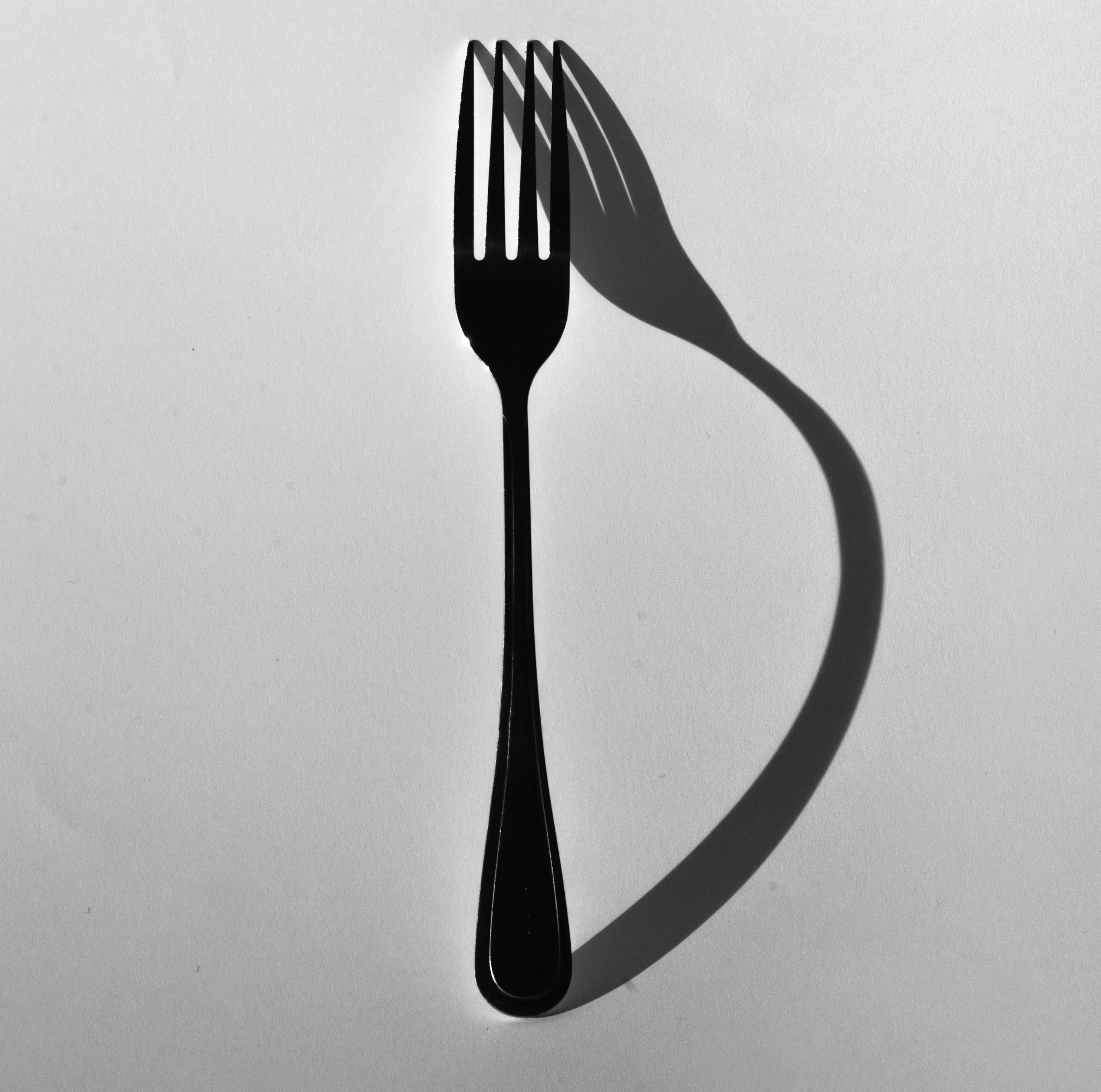 헬리코박터균 제균치료