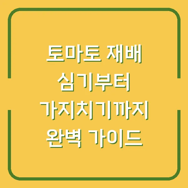 토마토 재배 심기부터 가지치기까지 완벽 가이드