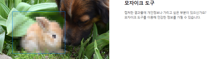 알캡처-모자이크-기능-예시-사진