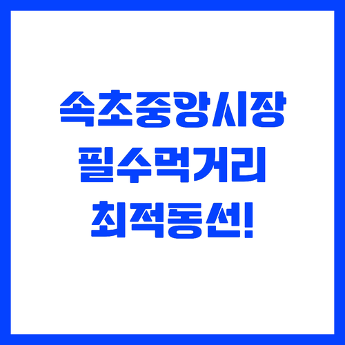 속초 중앙시장 먹거리 탐방과 최적의 ..