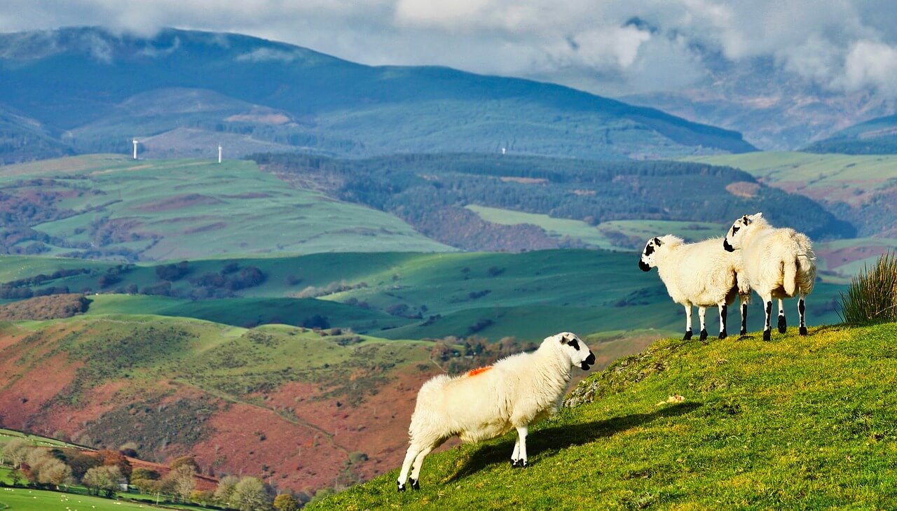2025 정부지원 정책 총정리|청년대출, 창업자금, 공제, 고용지원 한눈에 보기