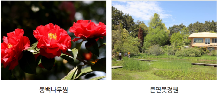 태안 천리포수목원