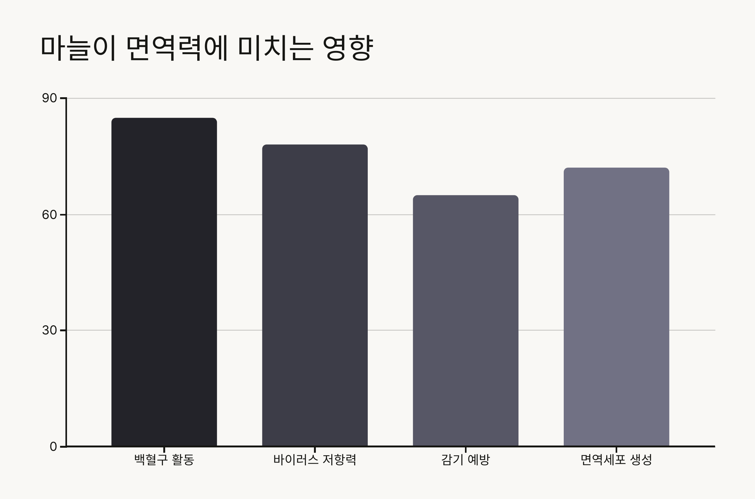 마늘 사진입니다.