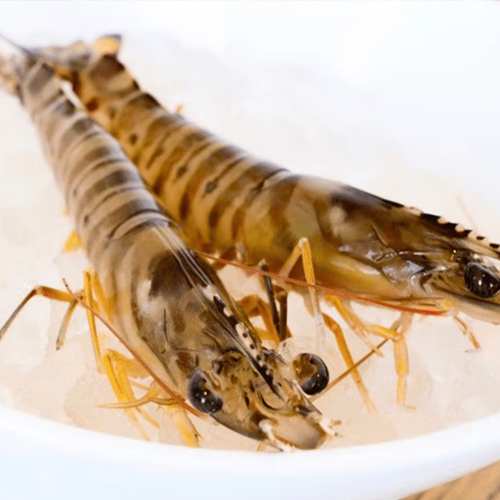 보리새우의 효능과 요리법, 부작용 알아보기