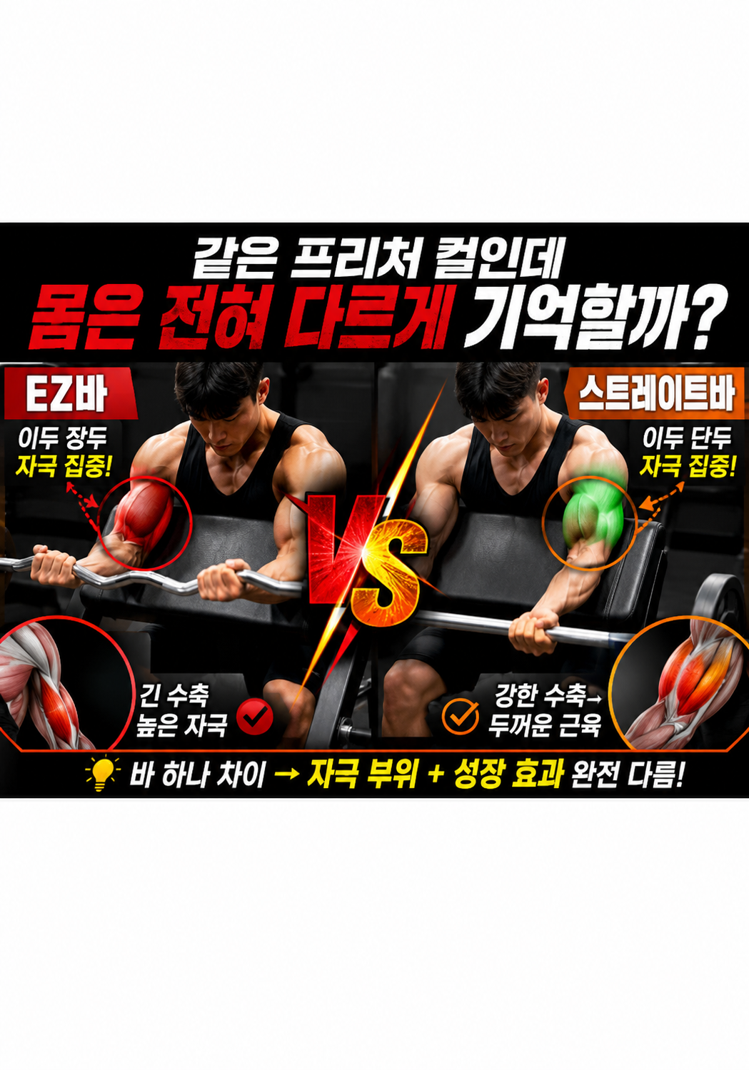 프리처 컬 EZ바 vs 스트레이트바:왜 같은 프리처 컬인데 몸은 전혀 다르게 기억할까
