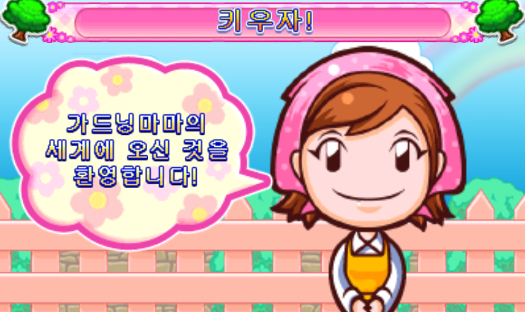 닌텐도 3DS 정발판