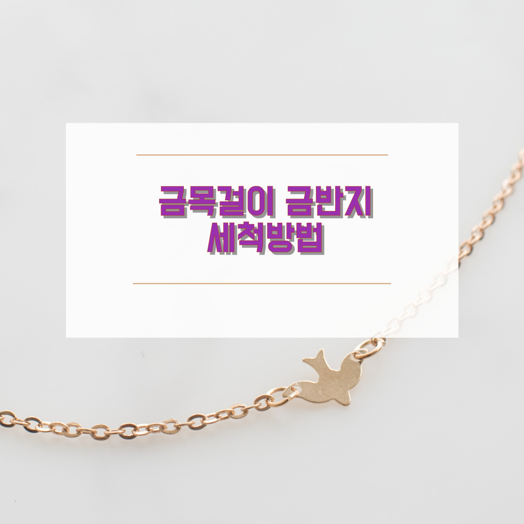 금목걸이 세척 방법
